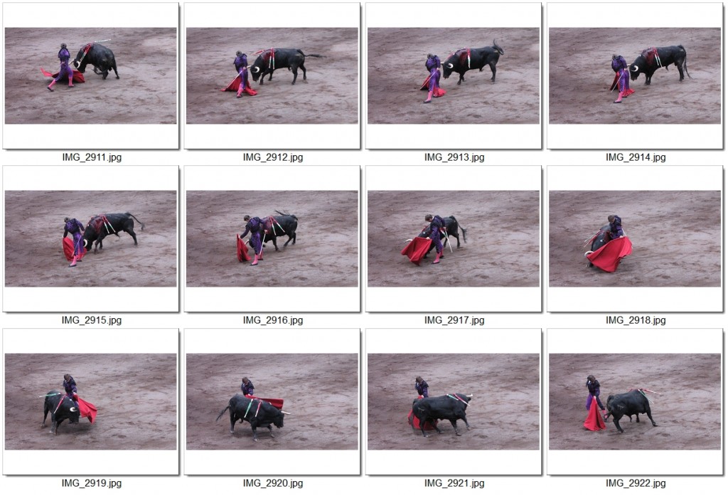 El JULI - Bilbao 2012