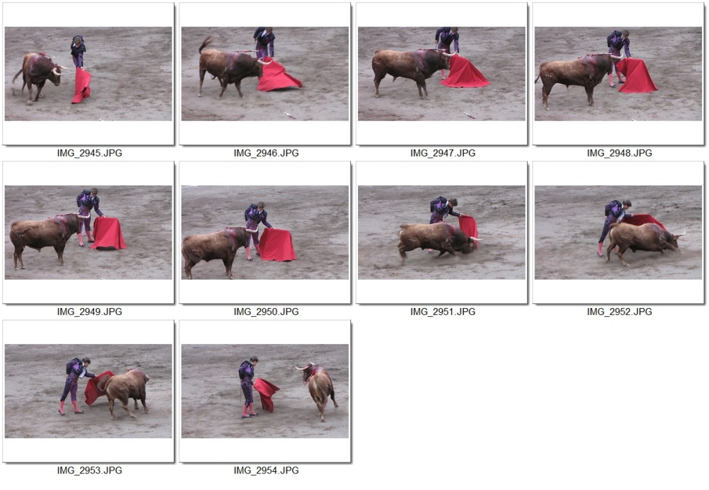 3 Contact Juli Fuera de Cacho