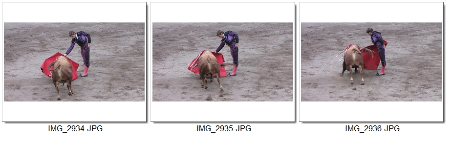 5 Contact Juli Puente