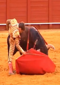 Juli codileando para acercar toro R
