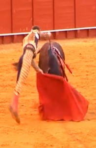 Julipie de dos orejas R