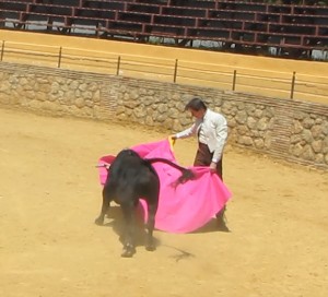 Photo Patchaneeya Treehera