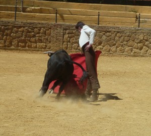 Photo Patchaneeya Treehera