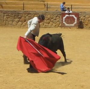 Photo Patchaneeya Treehera