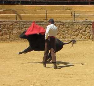 Photo Patcahneeya Treehera