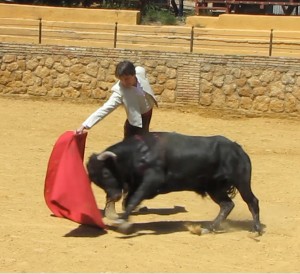 Photo Patchaneya Treehera