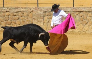 A Cossio Carmona 2013 04 Veronica Pies Juntos