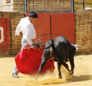 Alberto Cossio. Festival Carmona 2013