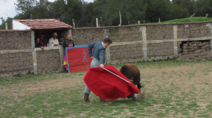 vlcsnap-2013-11-10-16h45m29s34