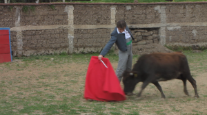 vlcsnap-2013-11-10-17h06m35s182