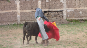 vlcsnap-2013-11-10-17h42m23s72