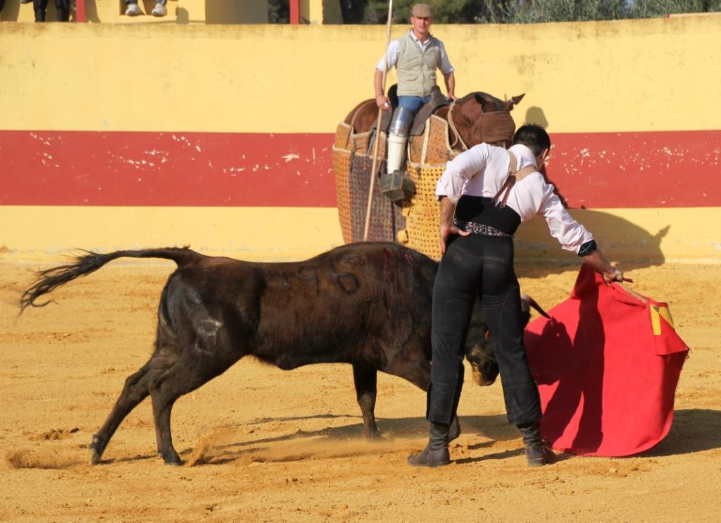 Camille Juan en el Conde de la Maza IMG_4701