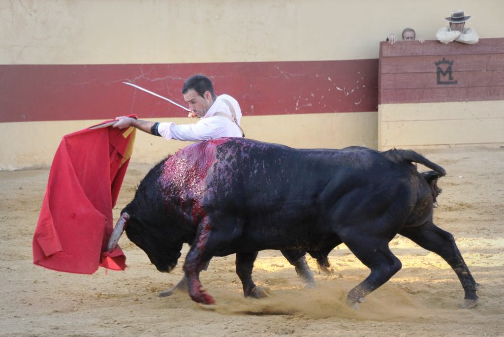 Camille Juan chez le Conde de la Maza IMG_5602