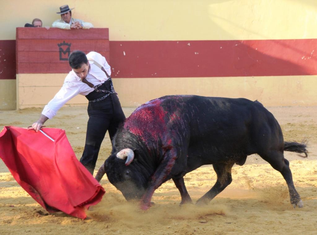 Camille Juan en el Conde de la Maza IMG_5612b
