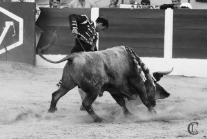 Camille Juan Natural  Adolfo Martin C&eacute;ret 2014