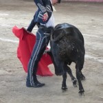 Alejandro Talavante Photo Ren&eacute; Ph. Arneodau
