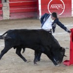 Alejandro Talavante Photo Ren&eacute; Ph. Arneodau