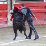 Alejandro Talavante Photo Ren&eacute; Ph. Arneodau