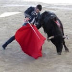 Alejandro Talavante Photo Ren&eacute; Ph. Arneodau