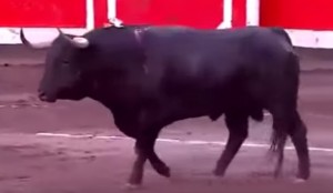 Juglar Garcigrande