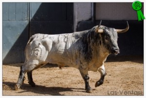 Agitador