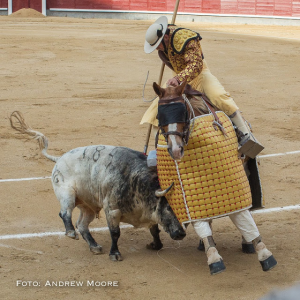 Agitador sous la pique