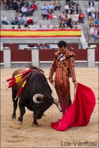 Frutero et Morenito de Aranda