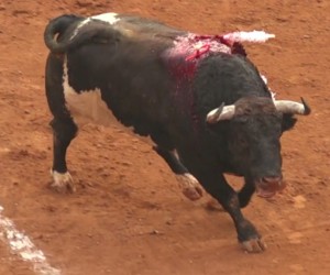 La espada del Juli 24 01 2016