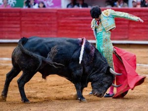 Arrucina de Alejandro Talavante en M&eacute;xico