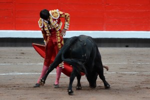 Arrucina de Andr&eacute;s Roca Rey