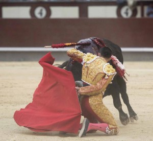 Arrucina de rodilla Alejandro Talavante