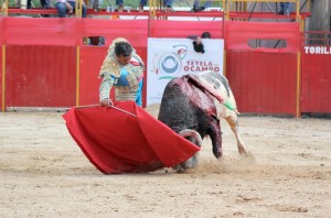 Alberto Huerta Tetela de Ocampo