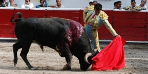 Alberto Huerta Tetela de Ocampo2