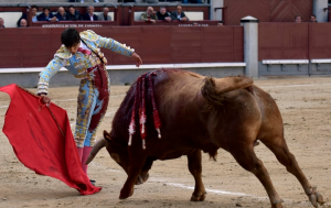 Capeína de Andrés Roca Rey