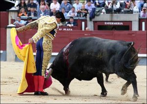 Gaonera de Sebasti&aacute;n Castella