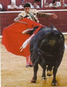 Inicio de una cape&iacute;na