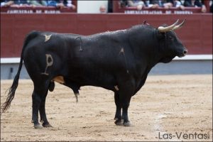 Malague&ntilde;o n&ordm;1 