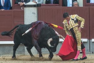 Pase de YTrinchera de Diego Urdiales