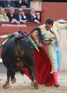 Pase de las flores de C&eacute;sar Rinc&oacute;n