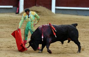 DSC_8122 David Mora Alcurrucen Madrid 24052016 Photo &copy; Ferdinand DE MARCHI (1)