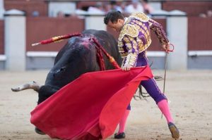 Rafaelillo 05 06 2016