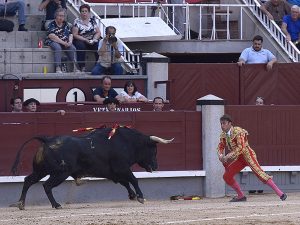 Quiebro banderillas cortas de Juan manuel S&aacute;nchez