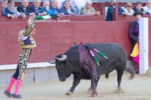 Quiebro de Antonio Ferrera - copia