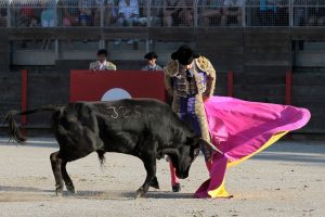 2016-08-10 FREJUS CHICOT 242