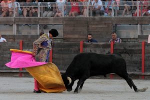 2016-08-10 FREJUS CHICOT 370
