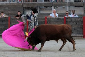 2016-08-10 FREJUS CHICOT 498