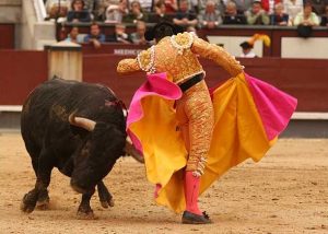 Chicuelina de El Fundi