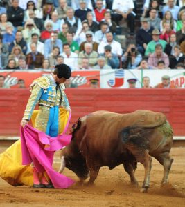 Chicuelina de El Juli