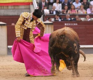 Chicuelina de J-M Manzanares (2)