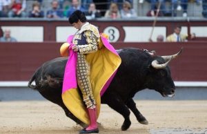 Chicuelina de Juan del &Aacute;lamo